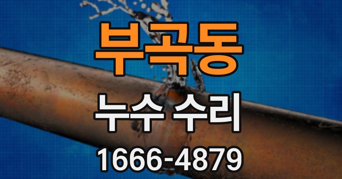 부곡동 누수 수리