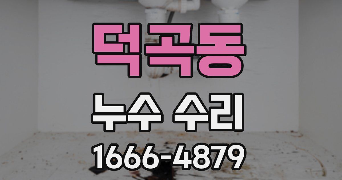 덕곡동 누수 수리