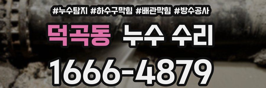 덕곡동 누수 수리