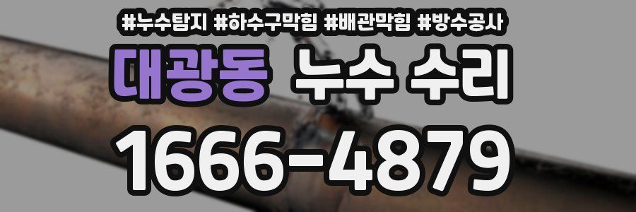 대광동 누수 수리