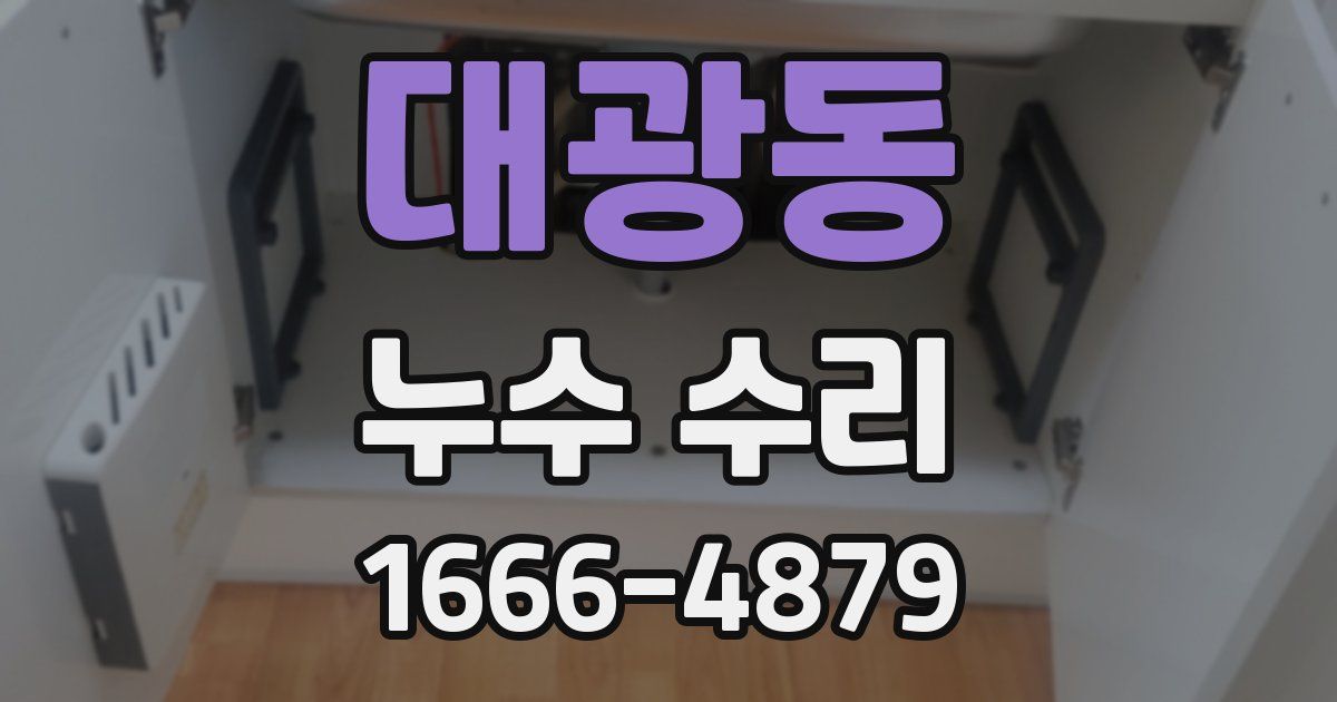 대광동 누수 수리