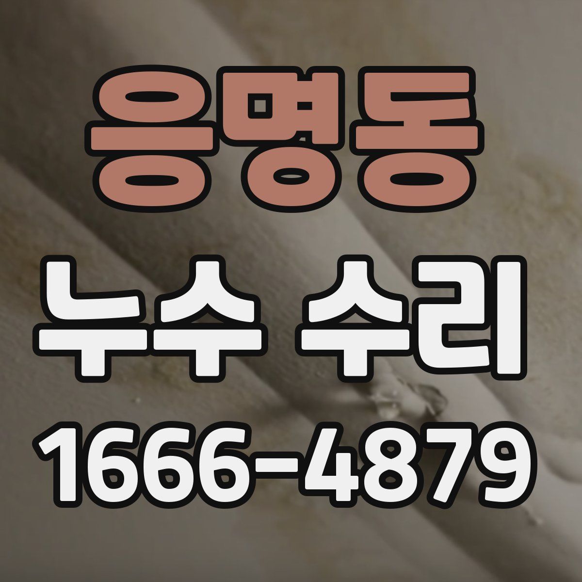 응명동 누수 수리