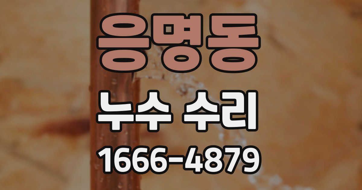 응명동 누수 수리