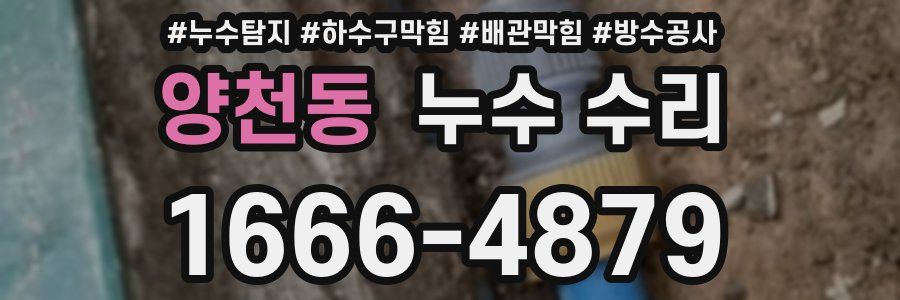 양천동 누수 수리