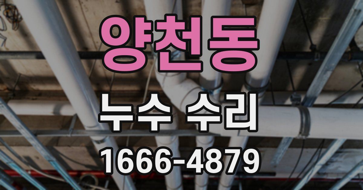 양천동 누수 수리
