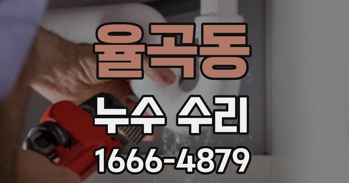 율곡동 누수 수리