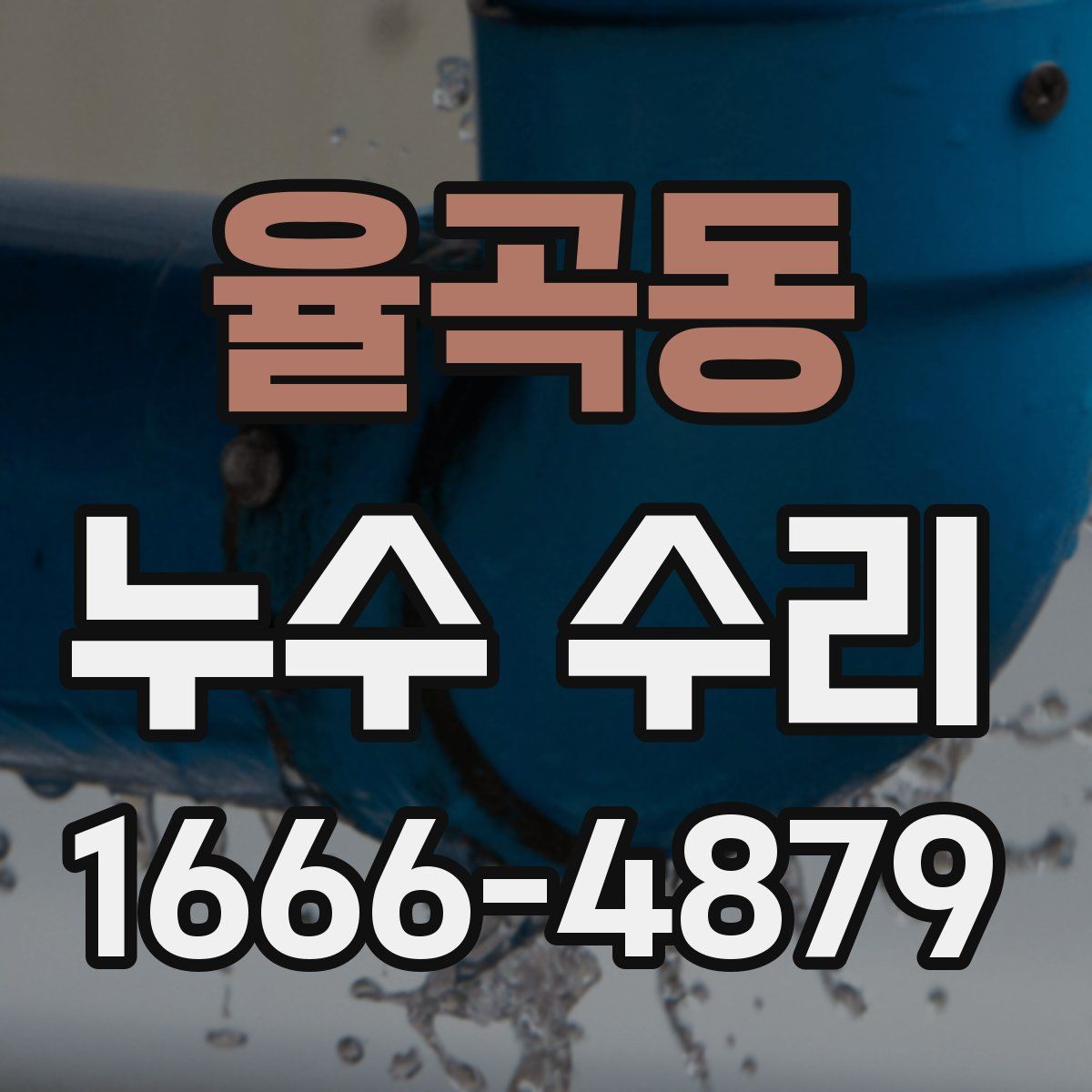 율곡동 누수 수리