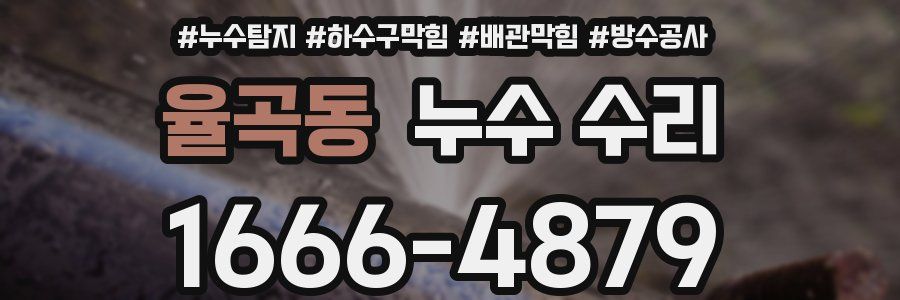 율곡동 누수 수리