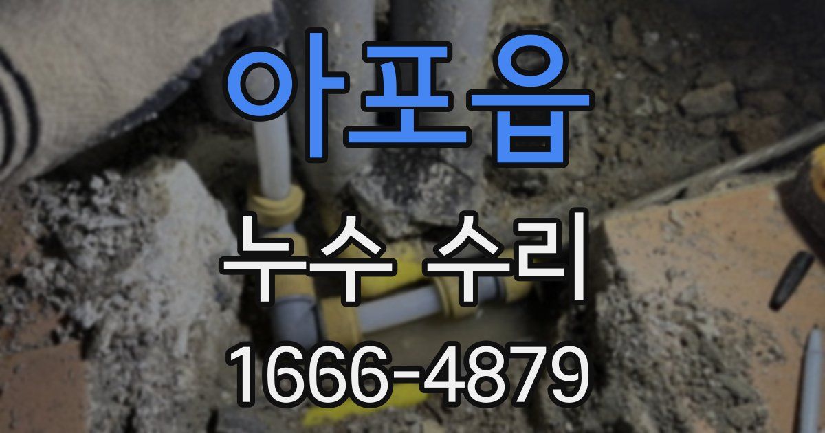 아포읍 누수 수리