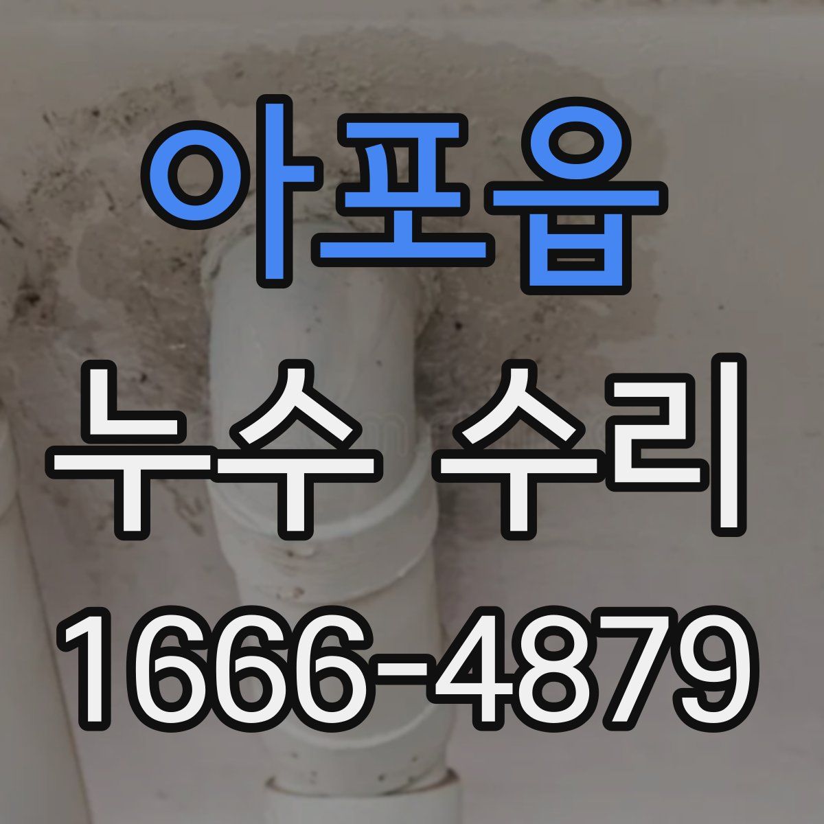 아포읍 누수 수리