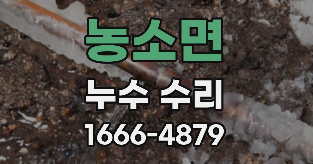 농소면 누수 수리