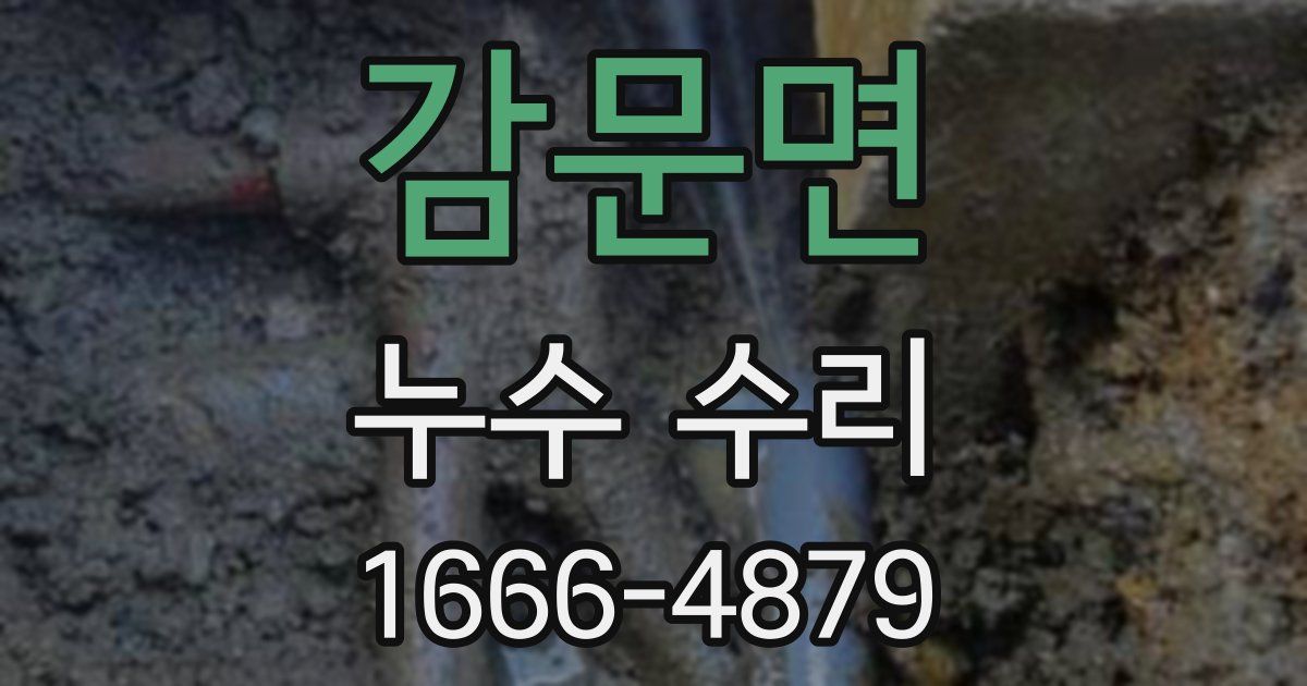 감문면 누수 수리