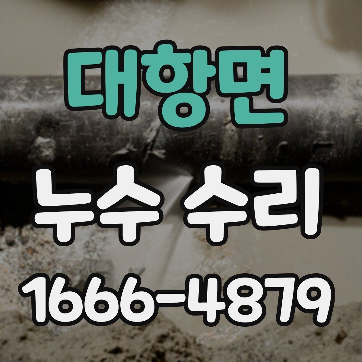 대항면 누수 수리