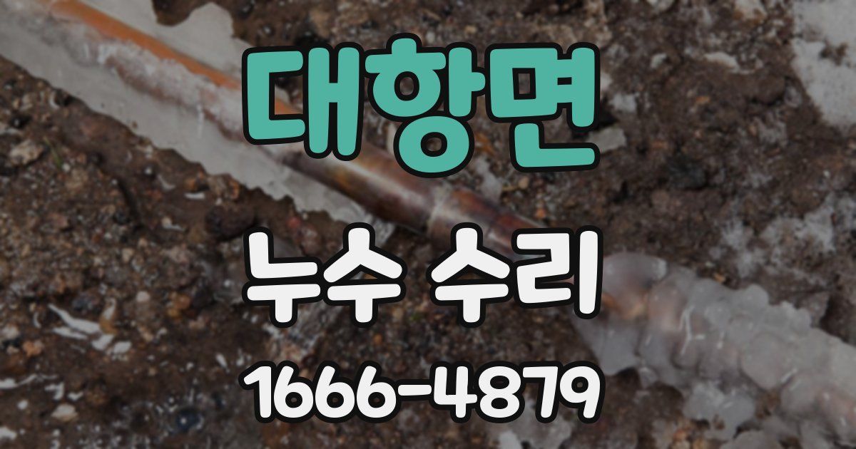대항면 누수 수리
