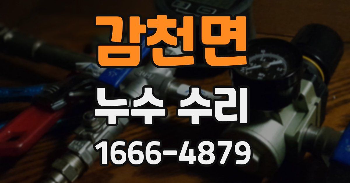 감천면 누수 수리