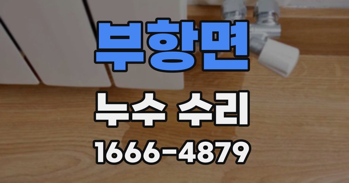 부항면 누수 수리