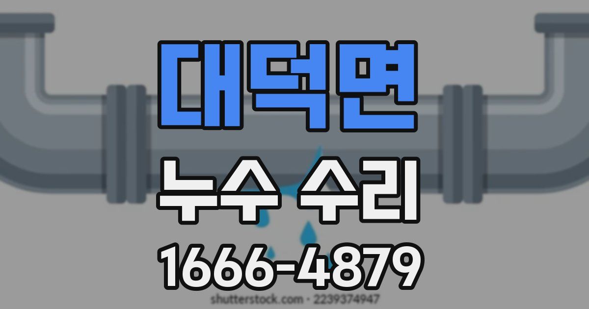 대덕면 누수 수리