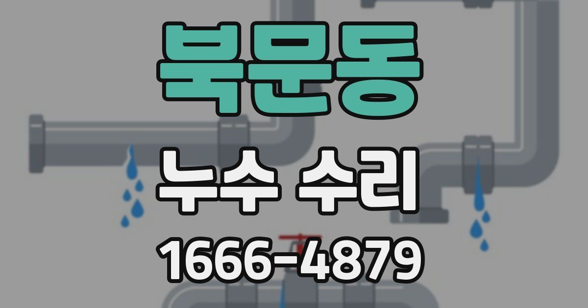 북문동 누수 수리