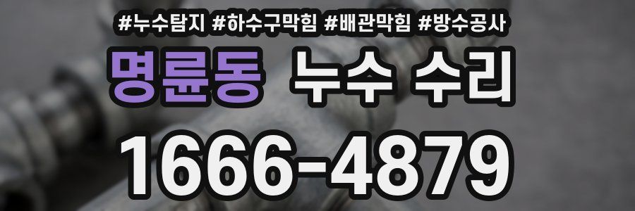 명륜동 누수 수리