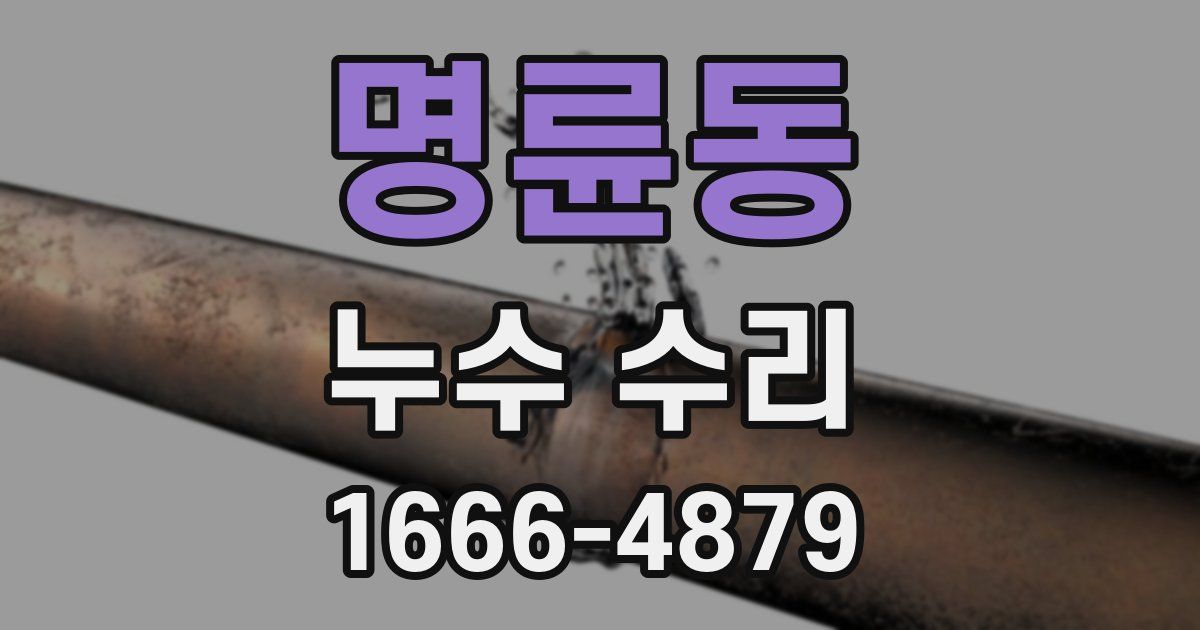 명륜동 누수 수리