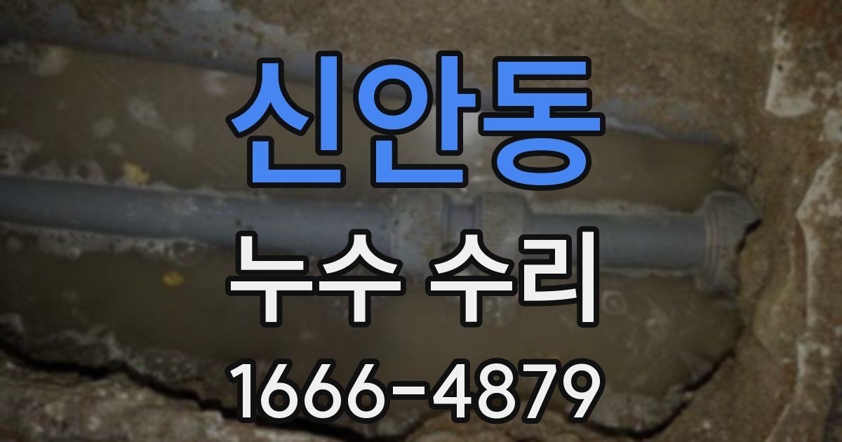 신안동 누수 수리