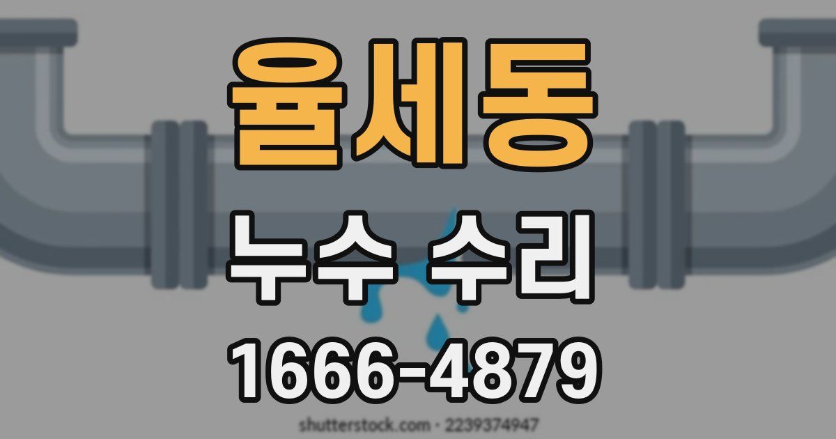 율세동 누수 수리