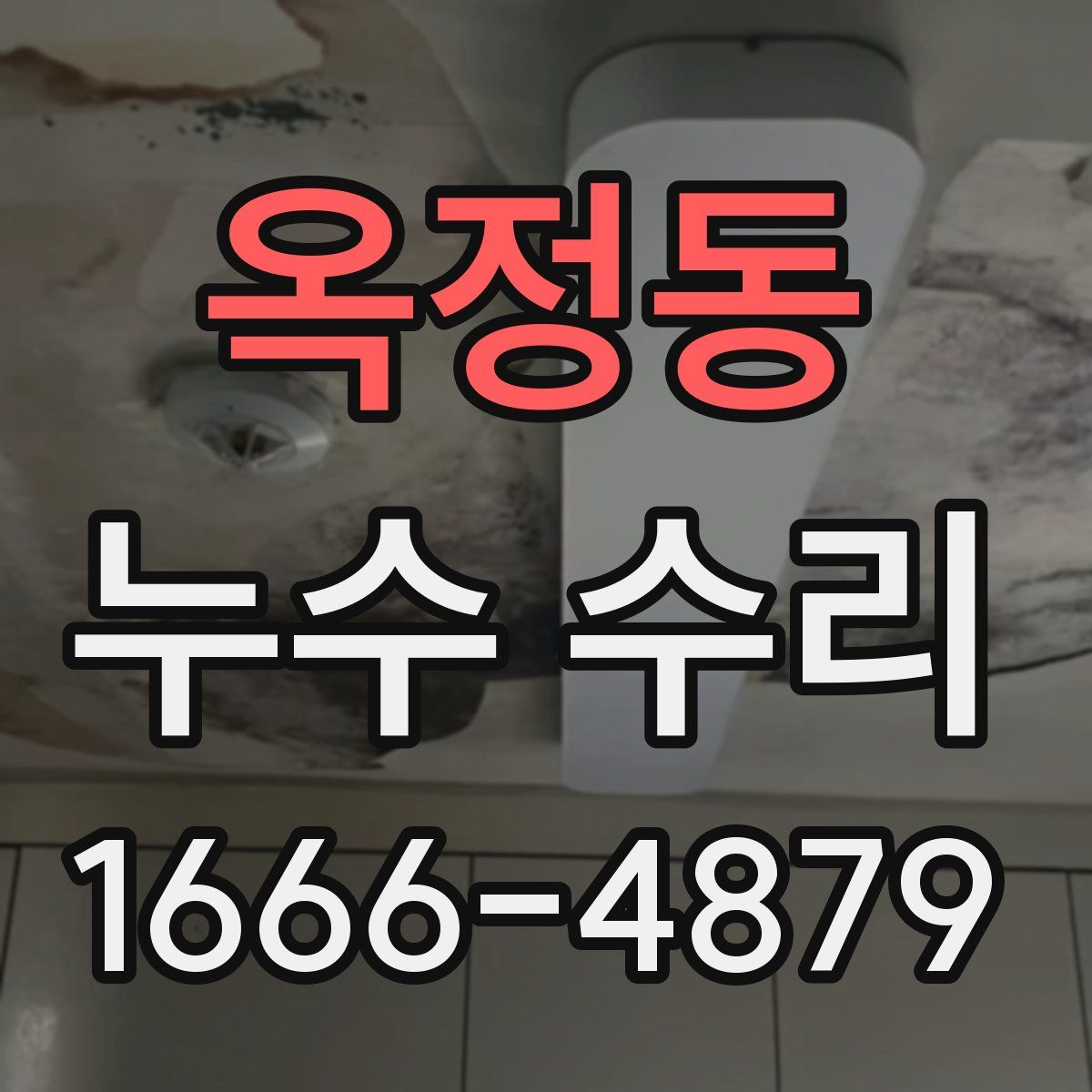 옥정동 누수 수리