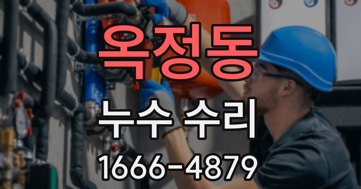 옥정동 누수 수리