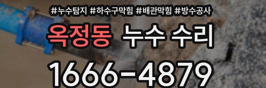 옥정동 누수 수리