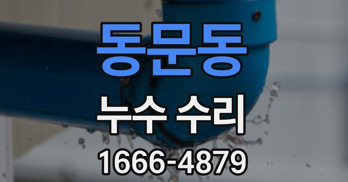 동문동 누수 수리