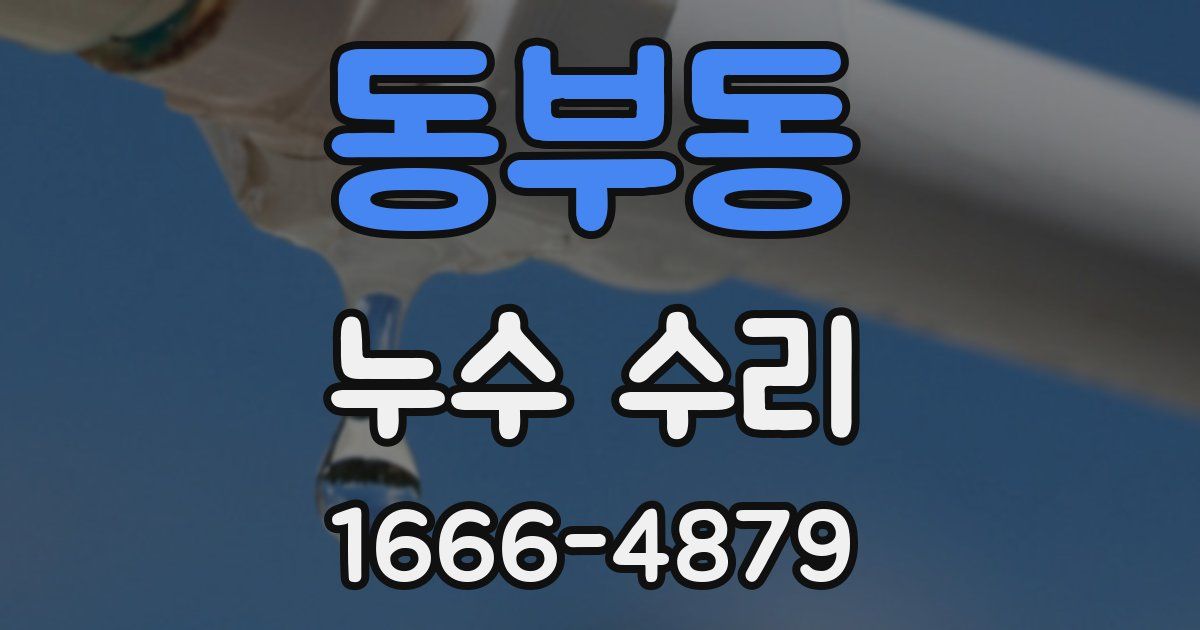 동부동 누수 수리