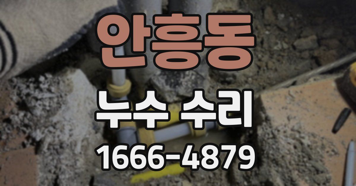 안흥동 누수 수리