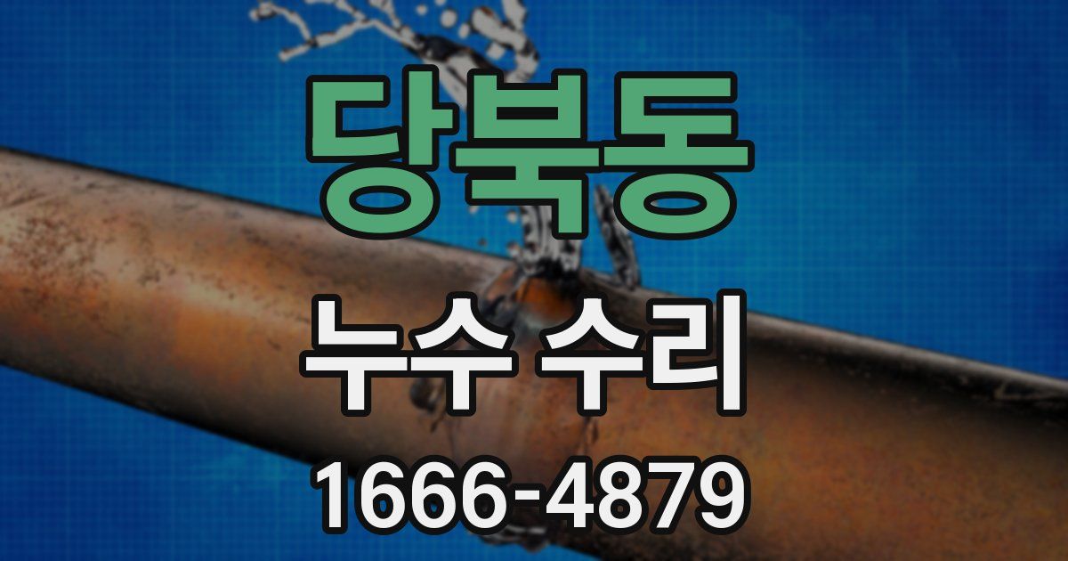 당북동 누수 수리