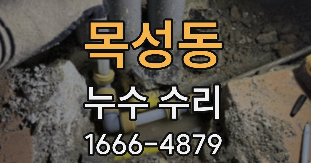 목성동 누수 수리