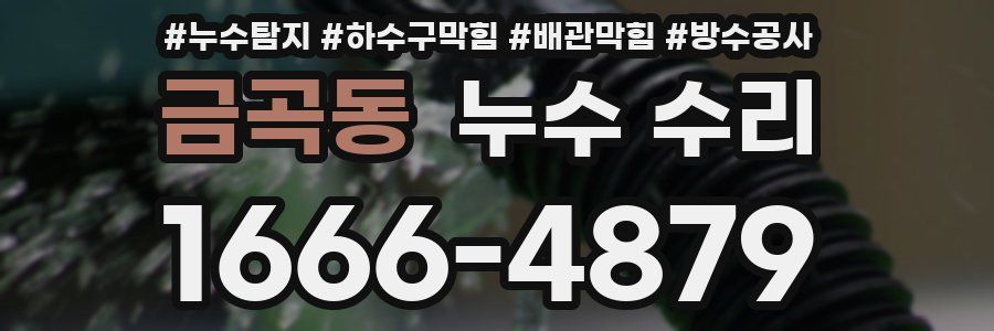 금곡동 누수 수리