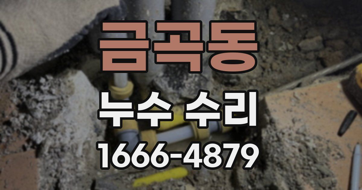 금곡동 누수 수리