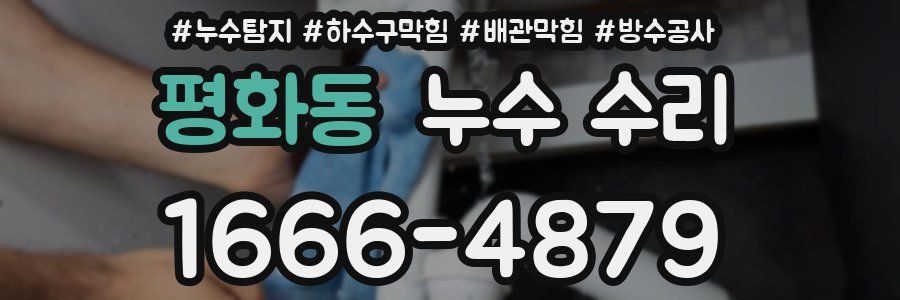 평화동 누수 수리