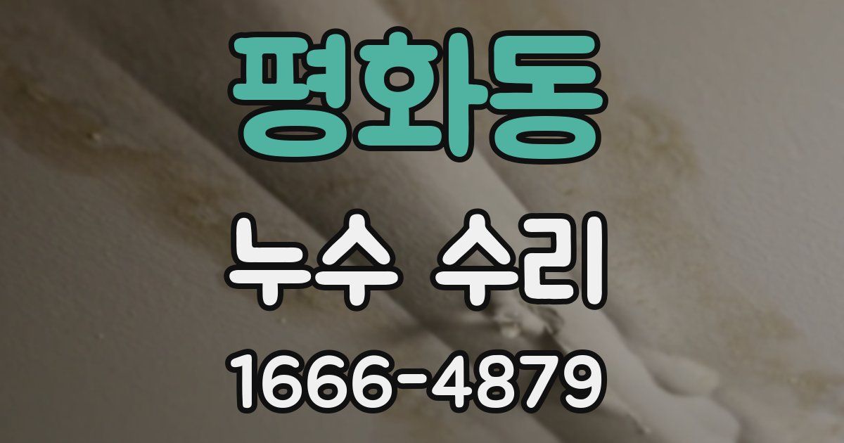 평화동 누수 수리