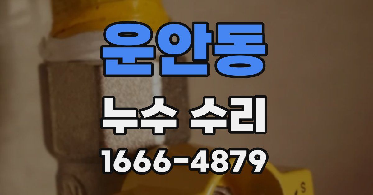 운안동 누수 수리
