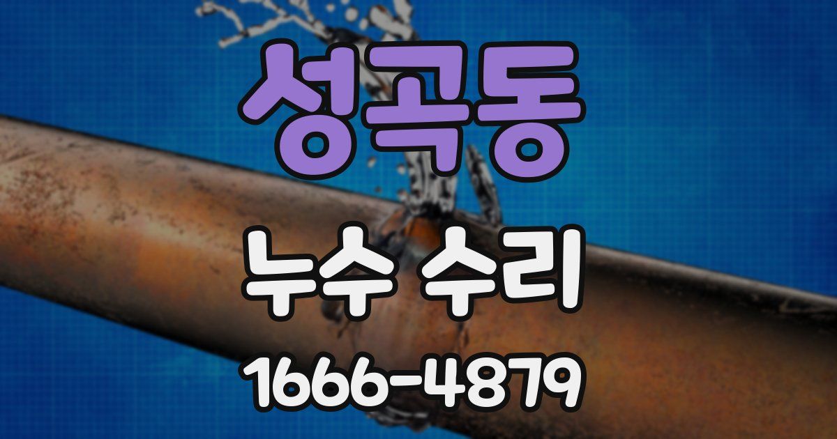 성곡동 누수 수리