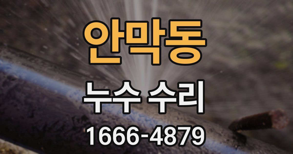 안막동 누수 수리