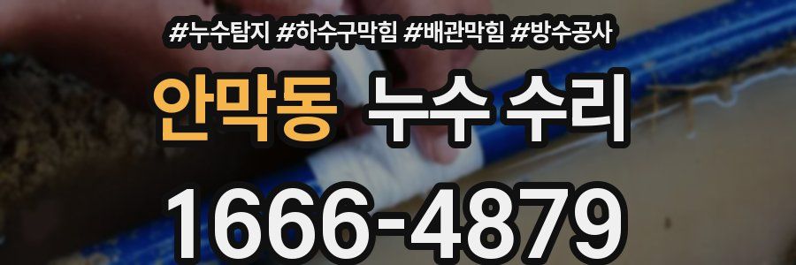 안막동 누수 수리