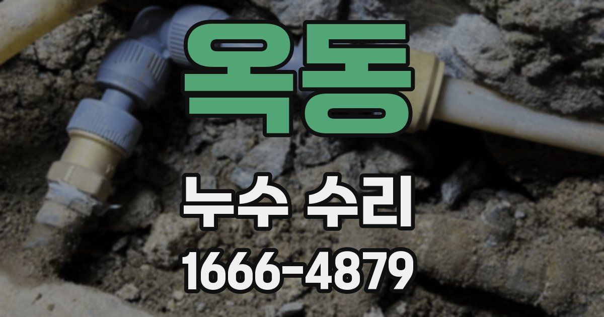 옥동 누수 수리