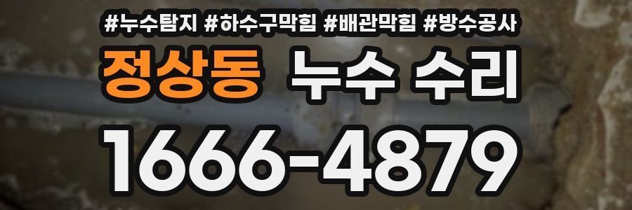 정상동 누수 수리