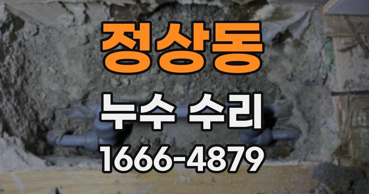 정상동 누수 수리