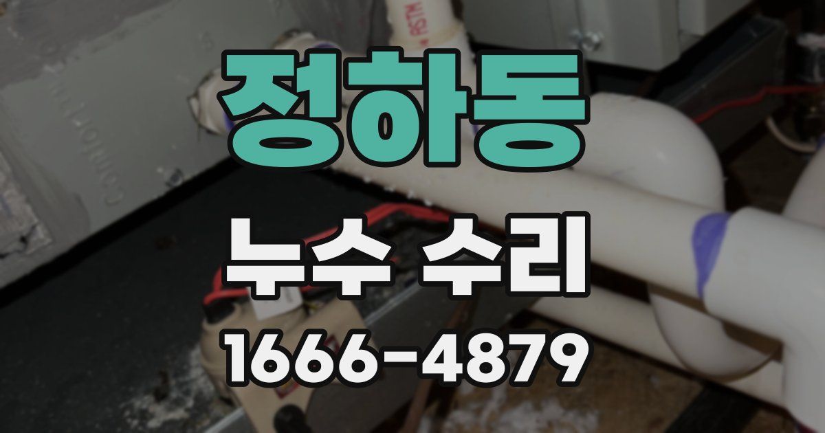정하동 누수 수리