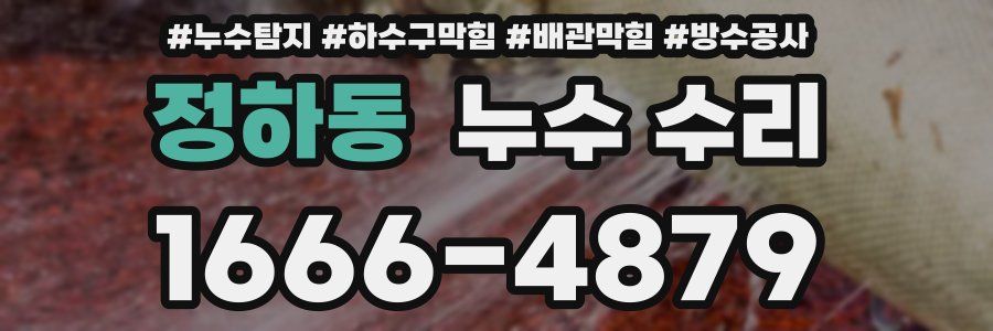 정하동 누수 수리