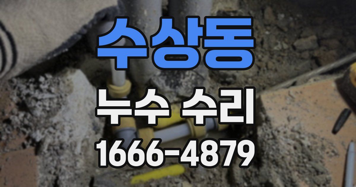 수상동 누수 수리