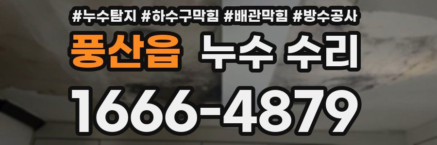 풍산읍 누수 수리