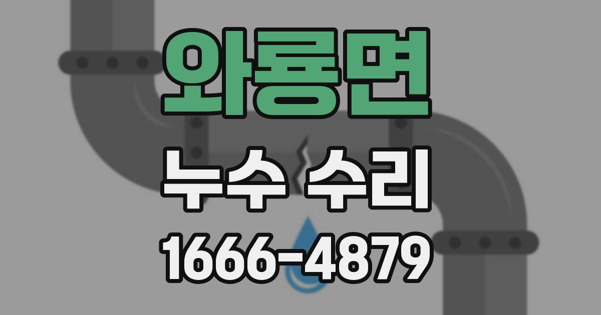 와룡면 누수 수리